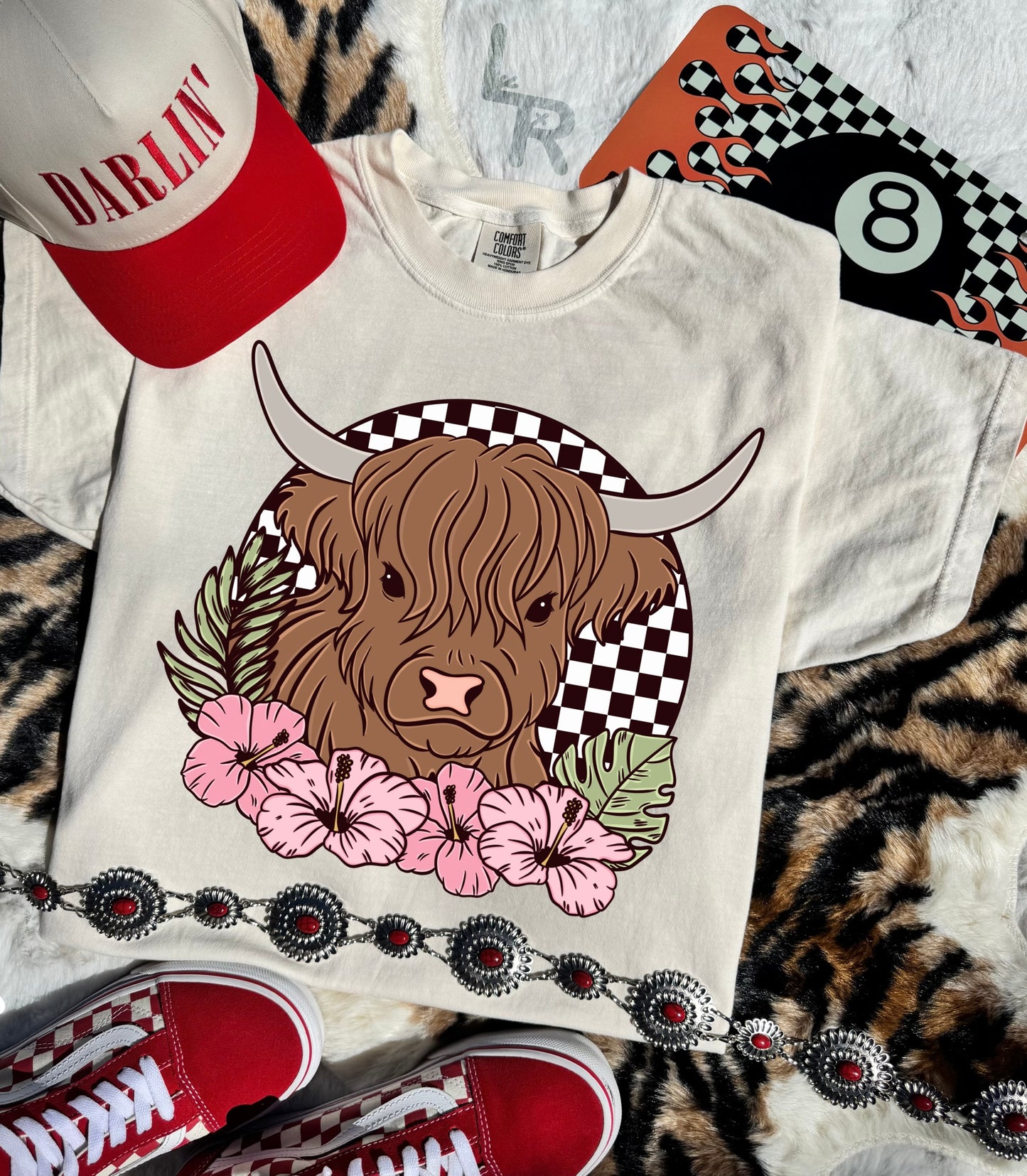 Highland Cow