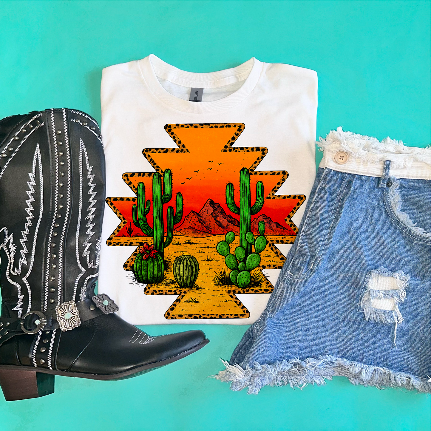 Cactus desert scene