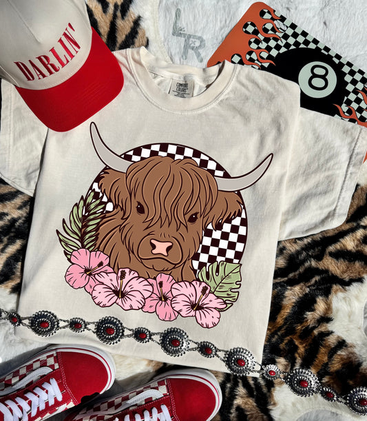 Highland Cow