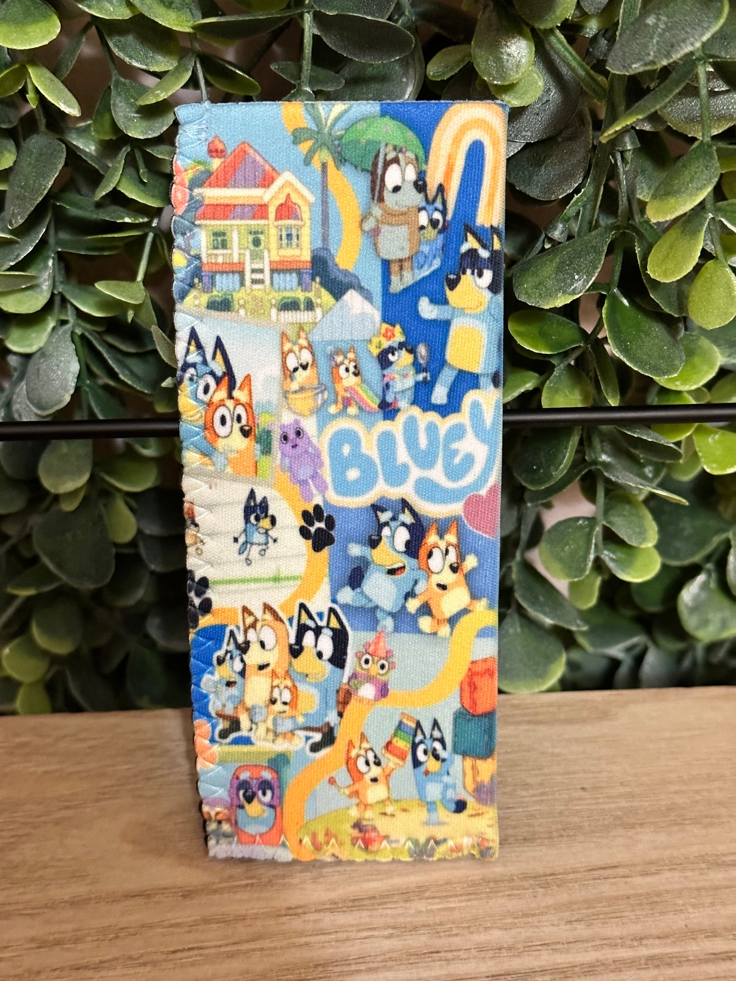Popsicle Holders